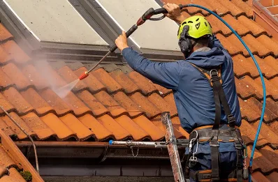 Démoussage et hydrofuge de toiture à Bertignolles